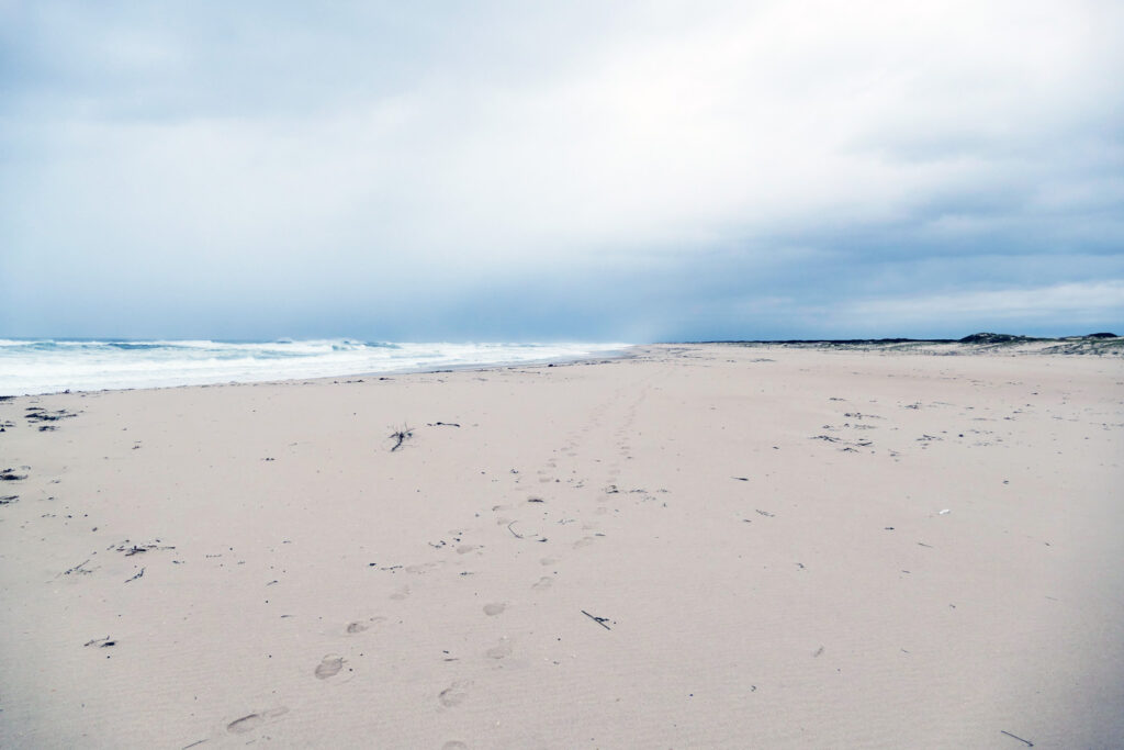 Strand Sao Jacinto