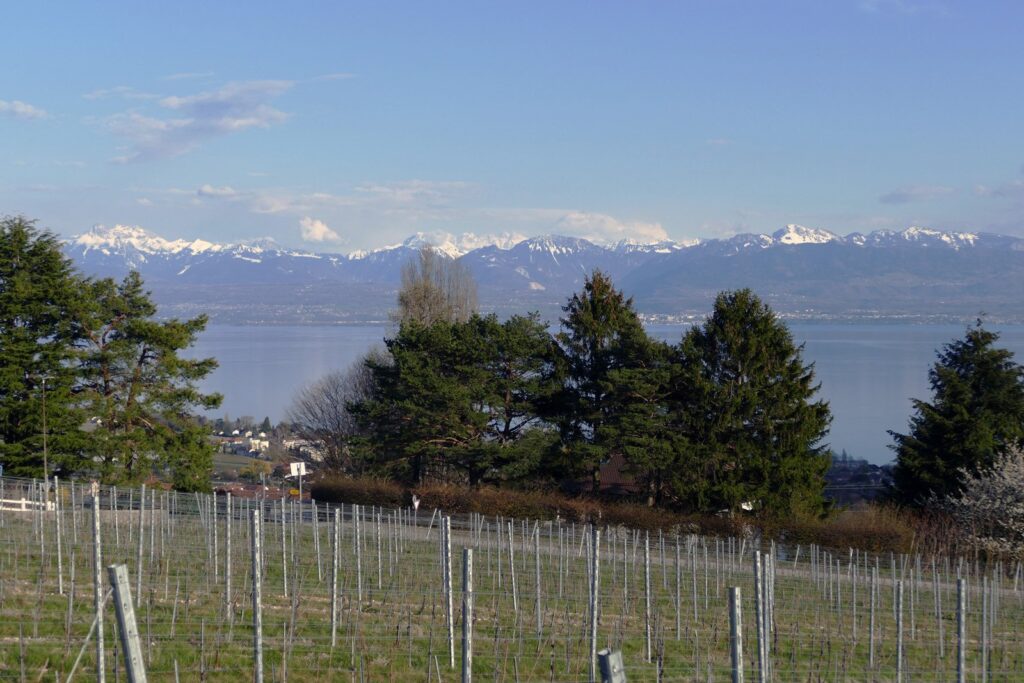 Genfersee & Alpen