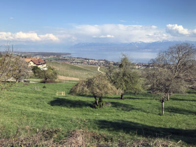 Mont-sur-Rolle Natur