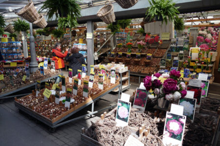 Blumenmarkt Amsterdam