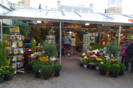 Blumenmarkt Amsterdam