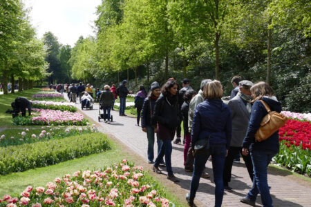 Menschenmassen im Keukenhof