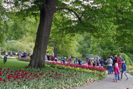 Menschenmassen im Keukenhof