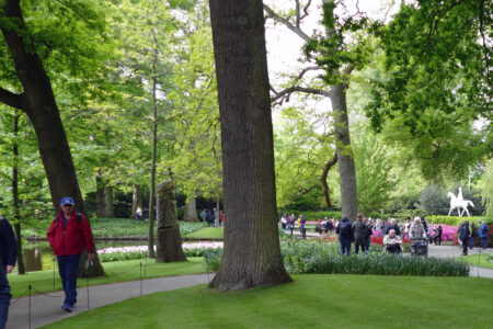 Menschenmassen im Keukenhof