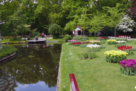 Tulpen im Keukenhof