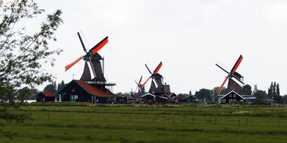 Holländische Windmühlen