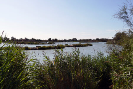 Camargue Nationalpark