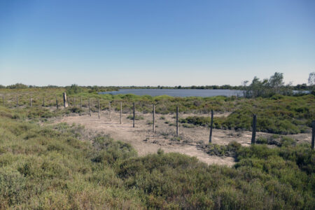 Camargue Nationalpark