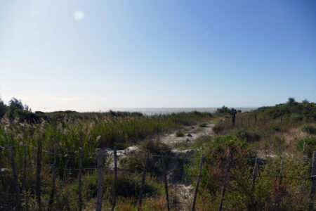 Camargue Nationalpark