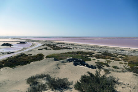 Camargue Saline