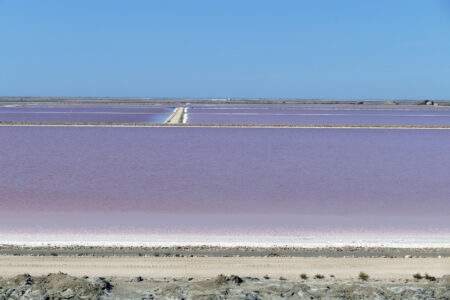 Camargue Saline