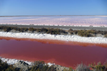 Camargue Saline