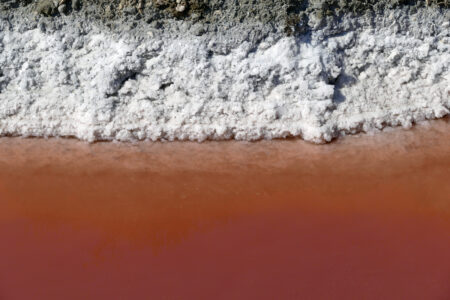 Camargue Saline