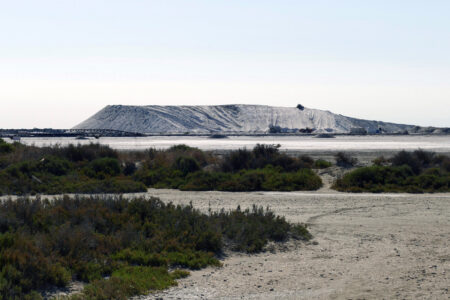 Camargue Saline