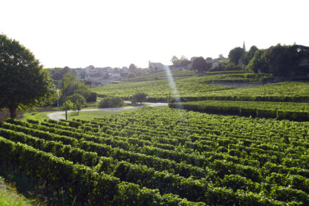 Freistehen in Saint-Émilion