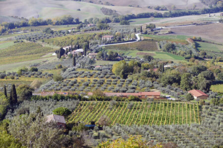 Montepulciano