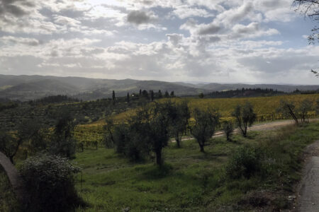 Panzano in Chianti > Greve in Chianti