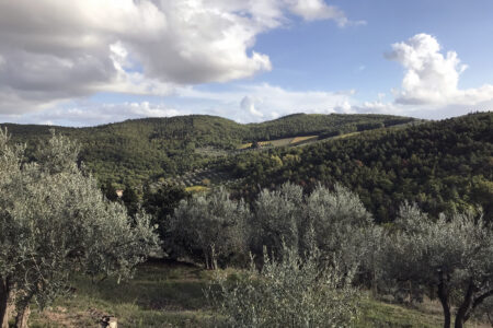 Panzano in Chianti > Greve in Chianti