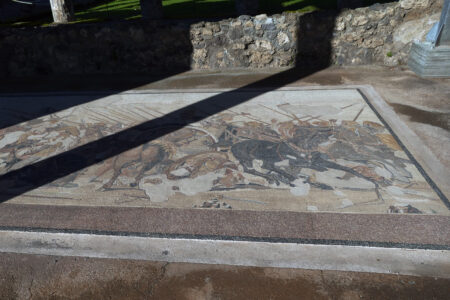 Pompeji Mosaik