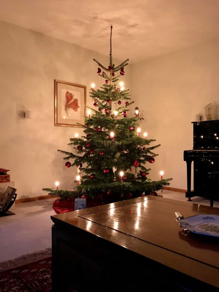 Weihnachtsbaum